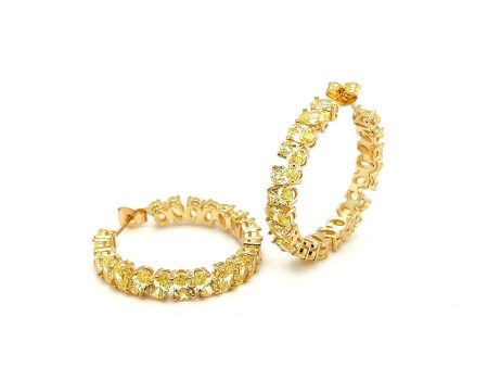 Ovale Giallo Hoop Earrings REOLY-YG Discount