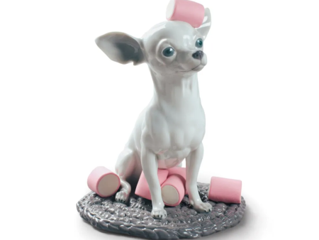 Chihuahua with Marshmallows Dog Figurine REF: 1009191 Sale