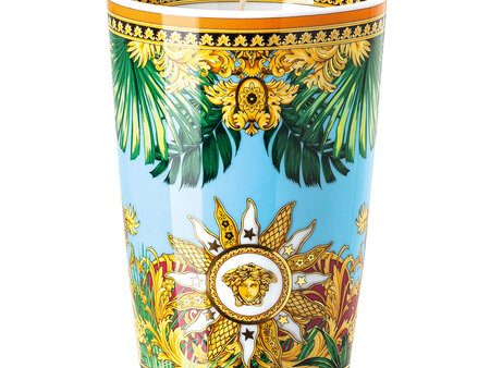 Versace Jungle Animal Scented Candle Ref :14402-403713-24868 Online Sale